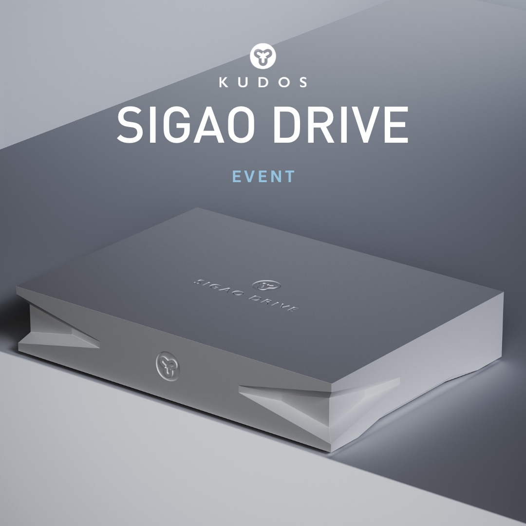 SIGAO DRIVE 2 copy